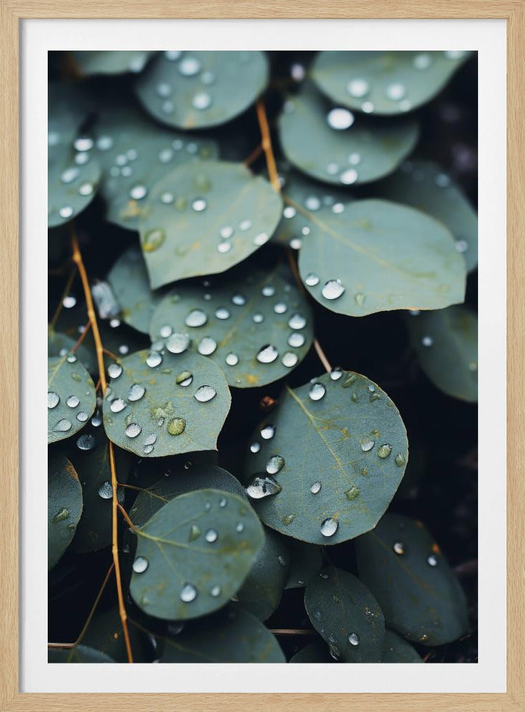 Regengeküsste Blätter | Poster