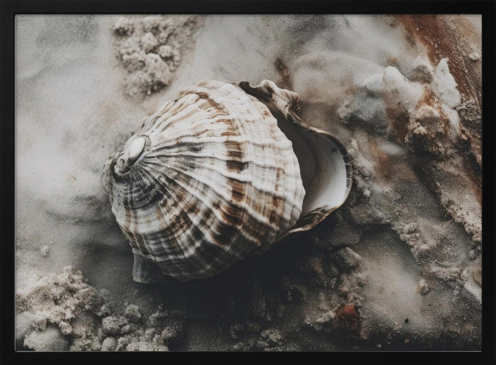 Muschel-Gelassenheit | Poster