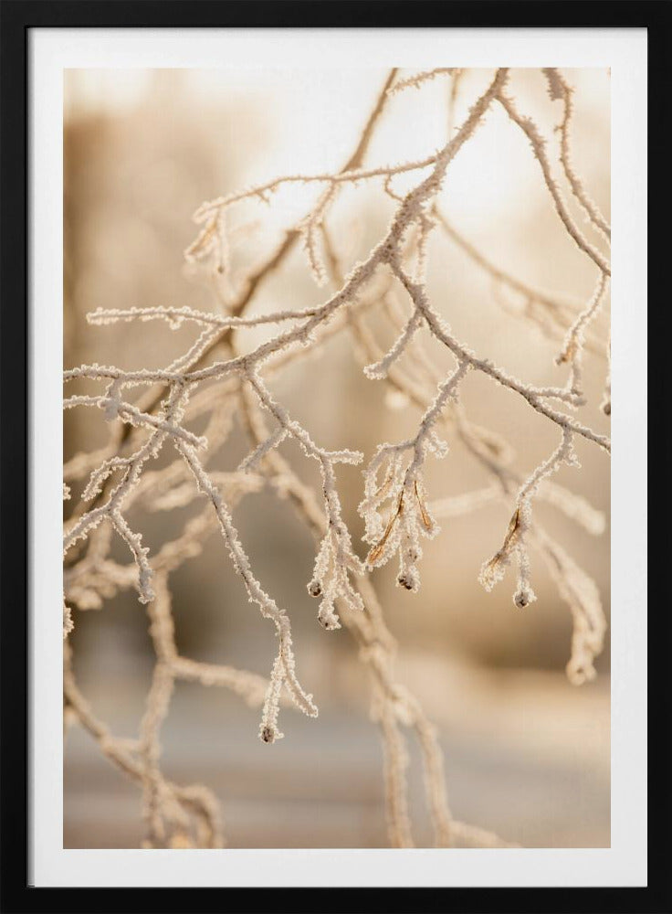 Frostiger Morgen 6 | Poster