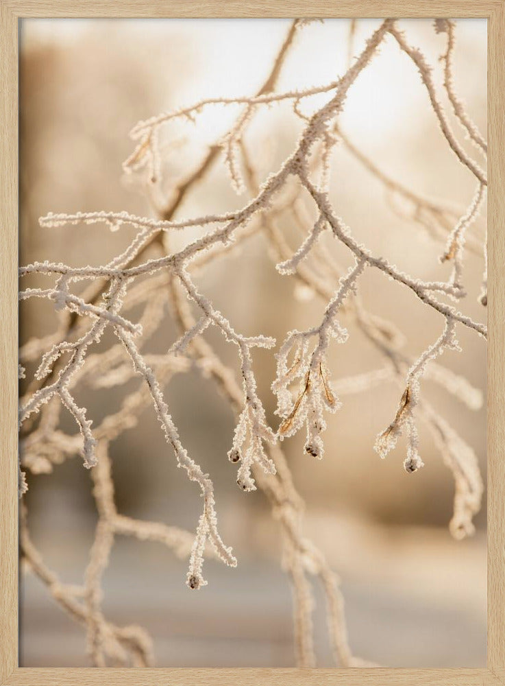 Frostiger Morgen 6 | Poster