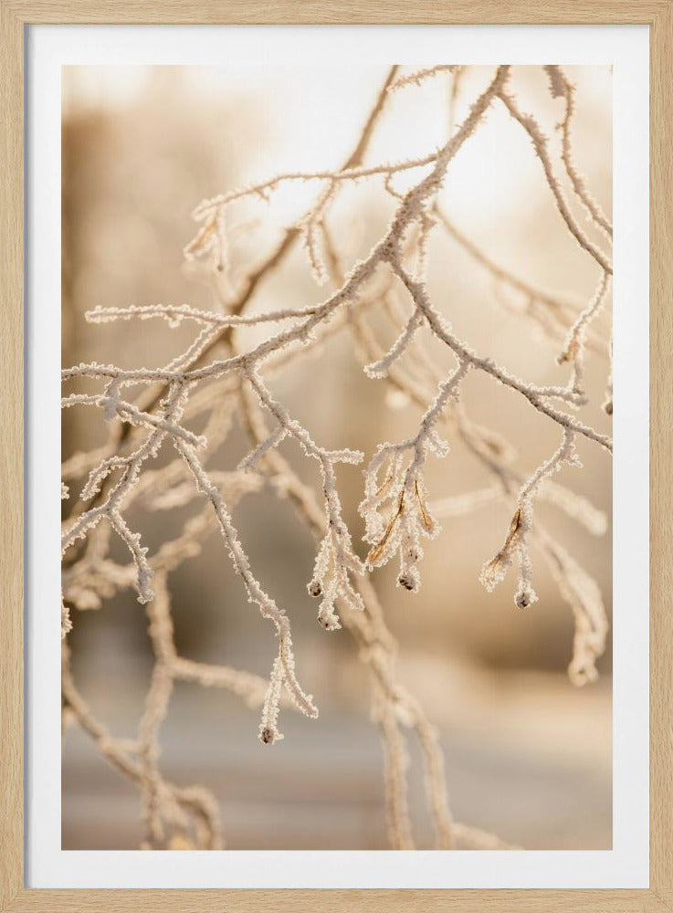 Frostiger Morgen 6 | Poster