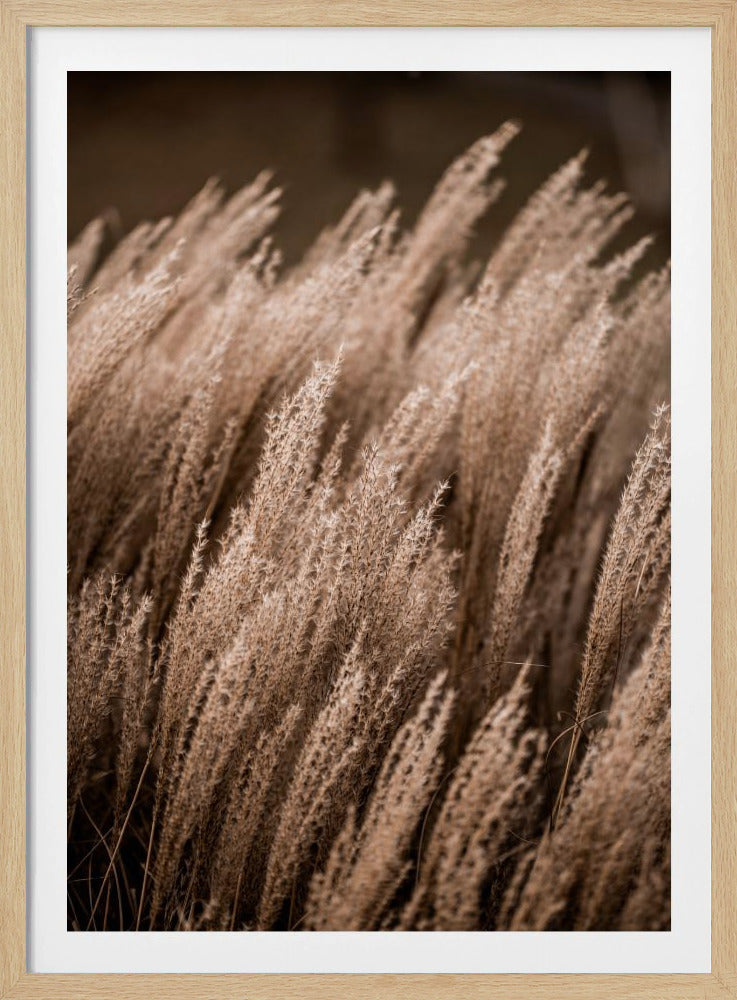 Grass 16 | Poster