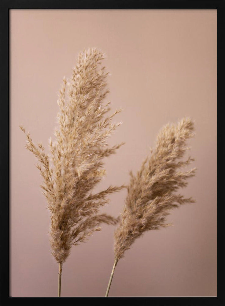 Gras 22 | Poster