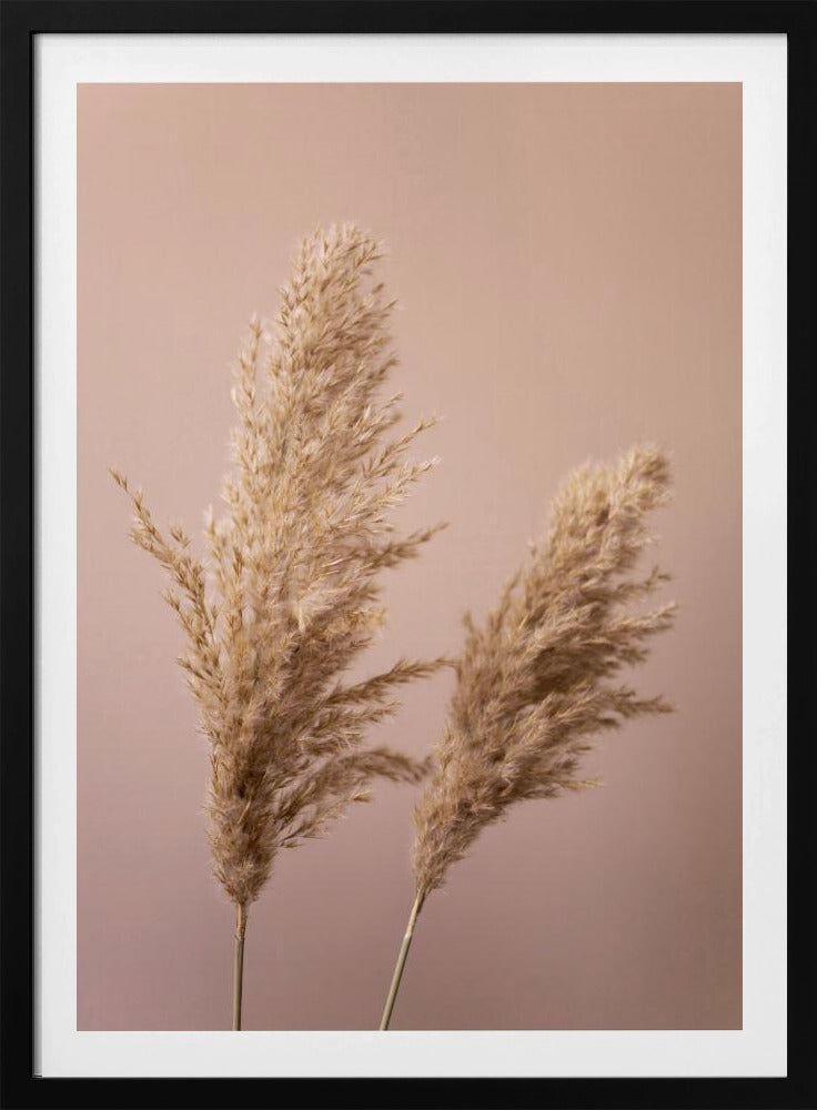Gras 22 | Poster