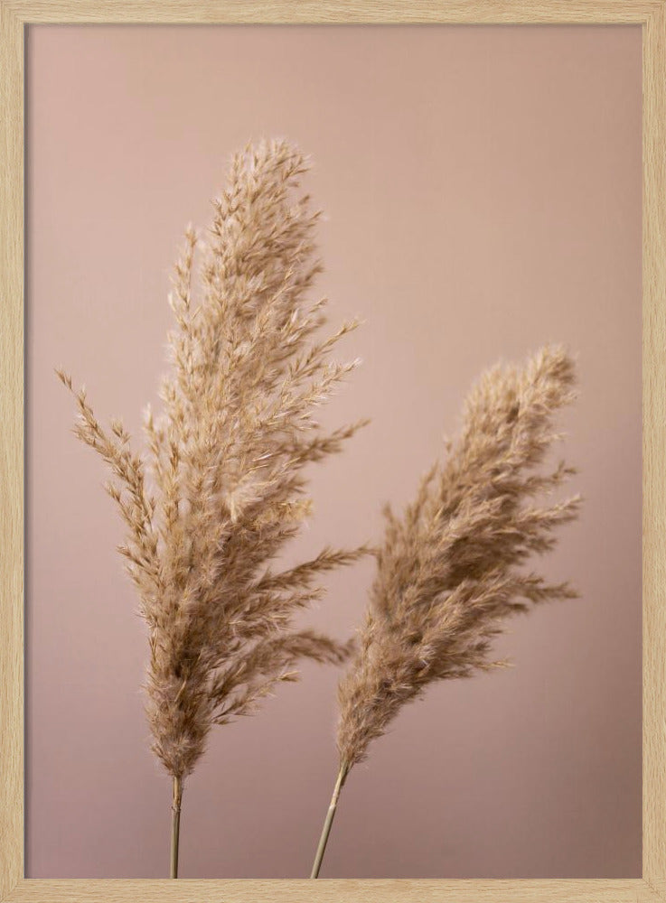 Gras 22 | Poster