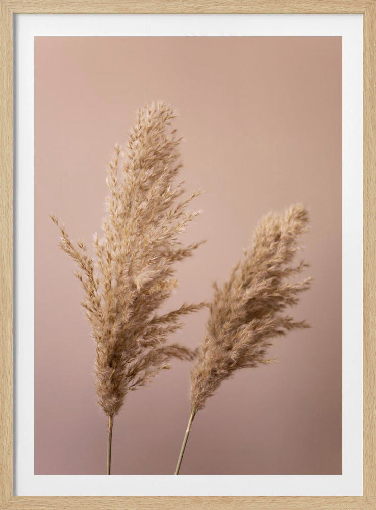 Gras 22 | Poster
