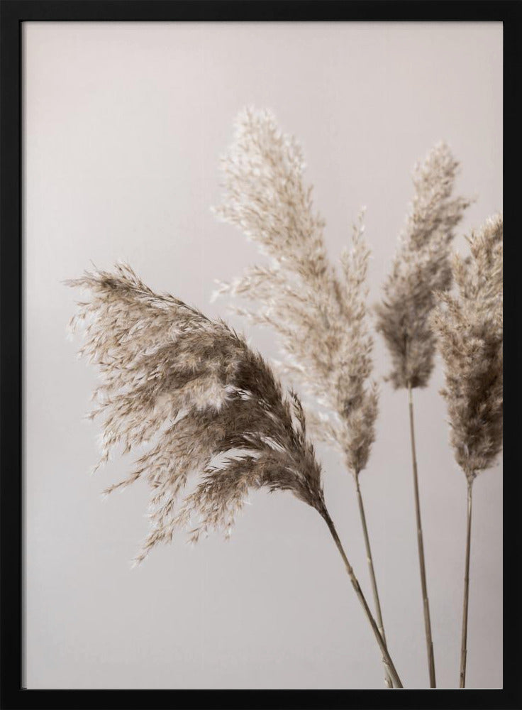 Gras 24X | Poster