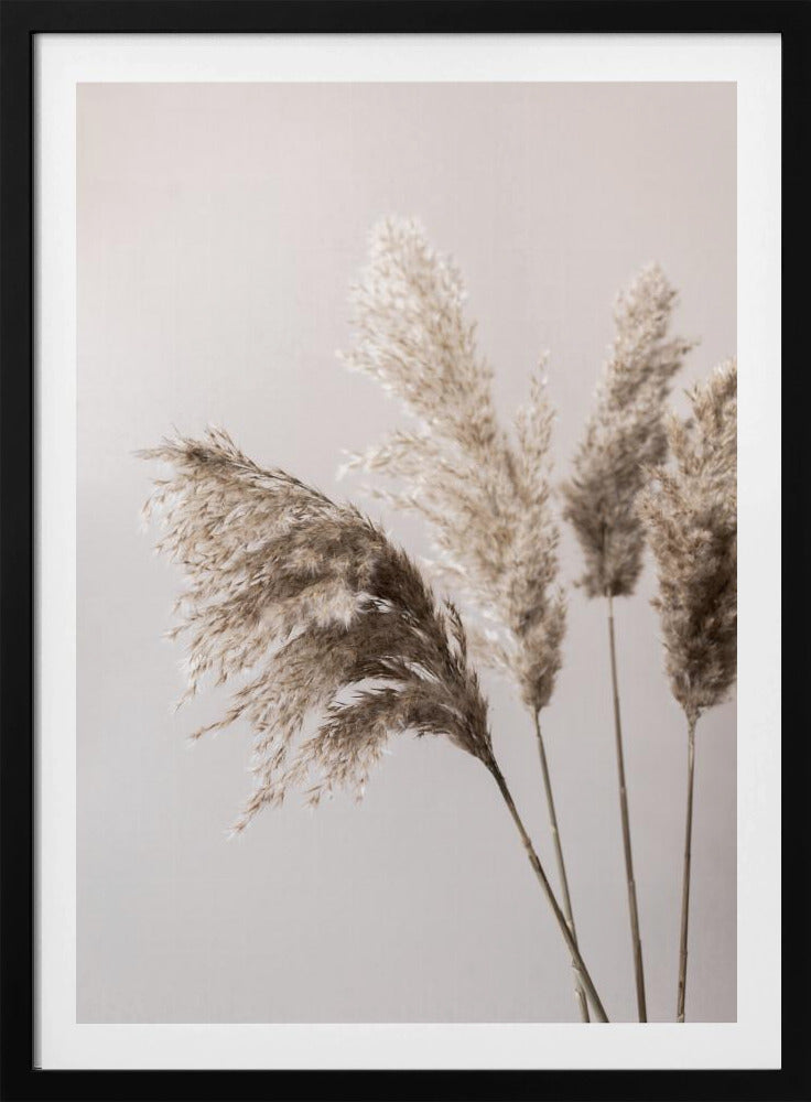 Gras 24X | Poster