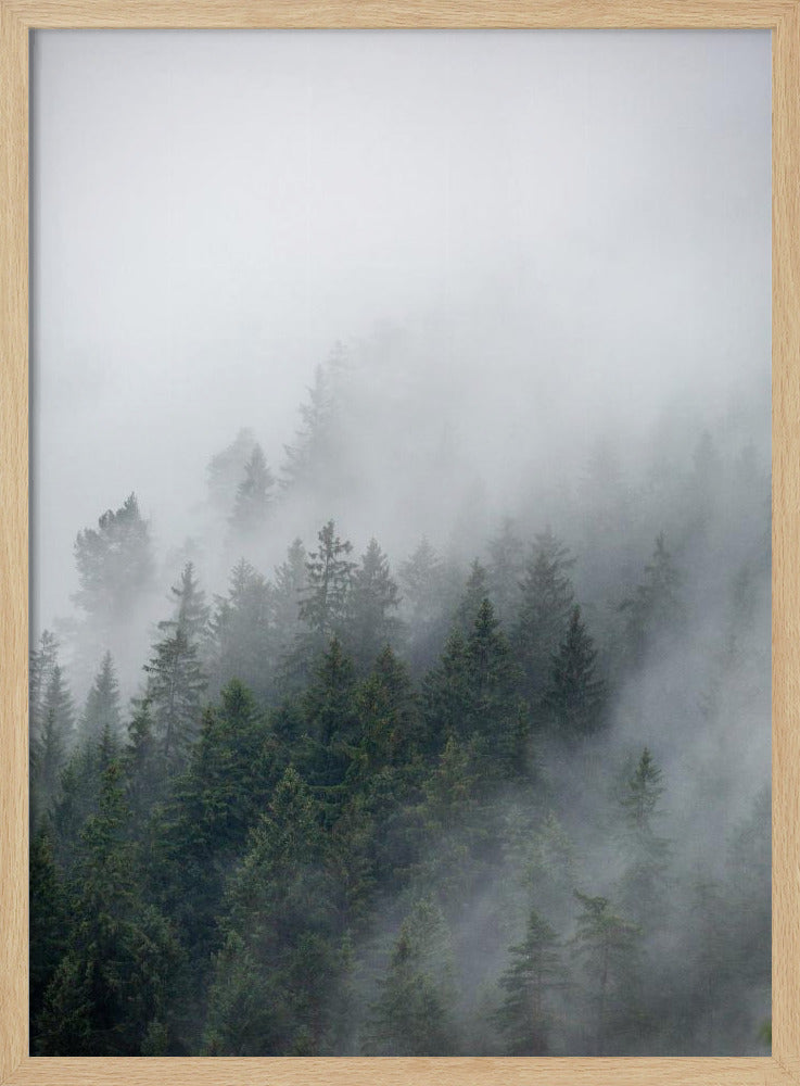 Nebliger Morgen 2 | Poster