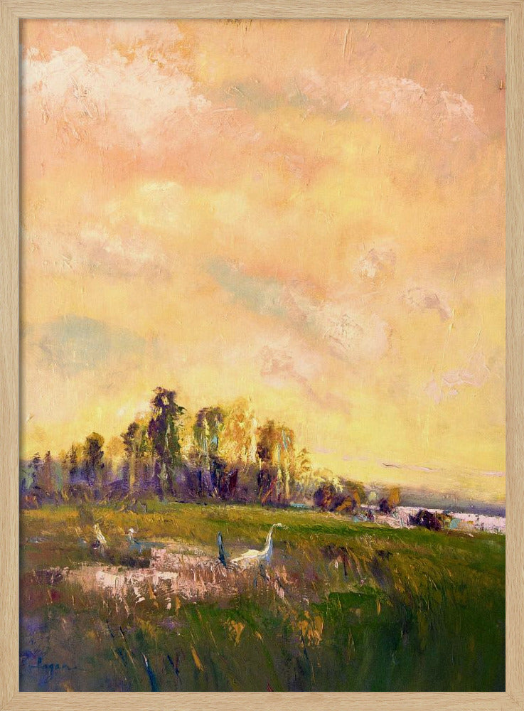 Sonnenbeschienene Wiesenlandschaft | Poster