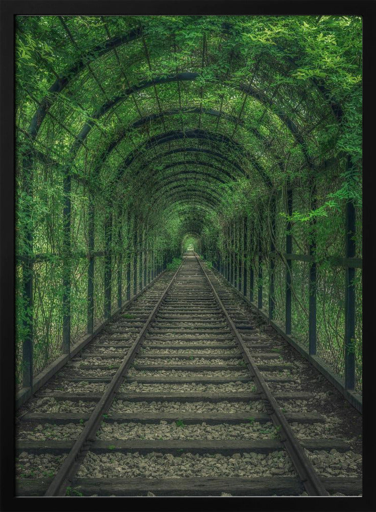 Grüner Tunnel | Poster