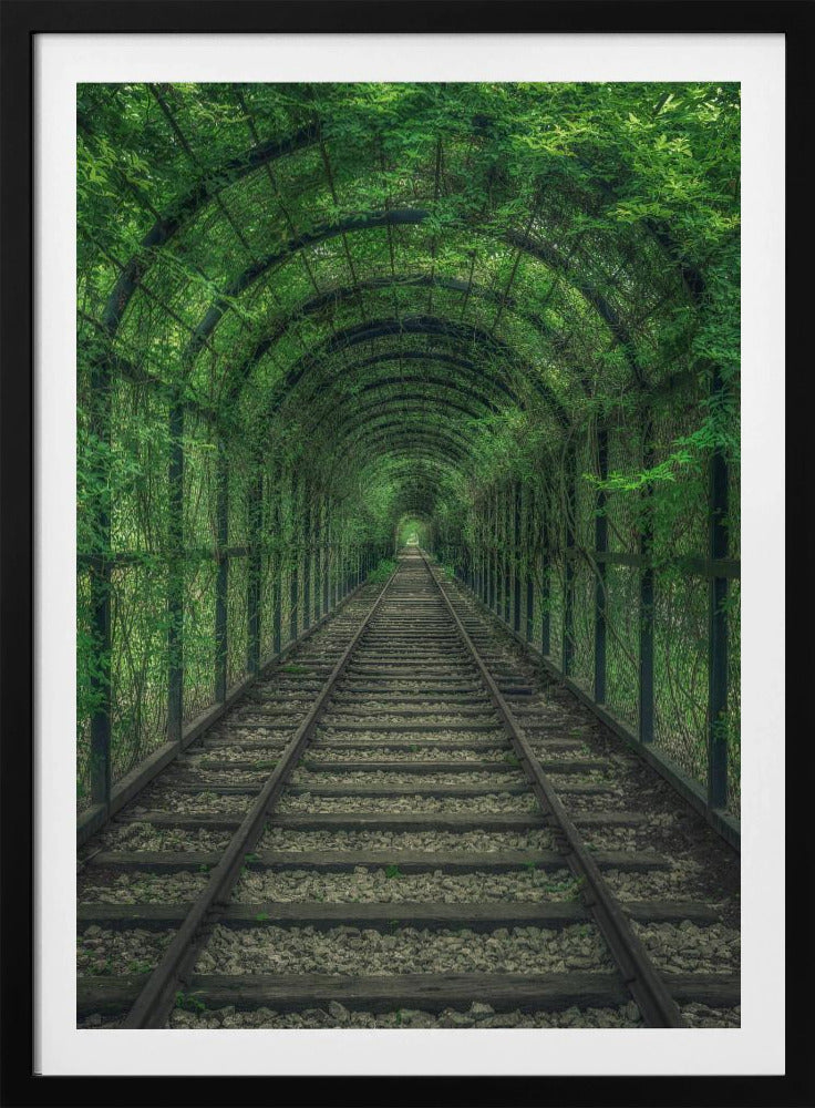 Grüner Tunnel | Poster