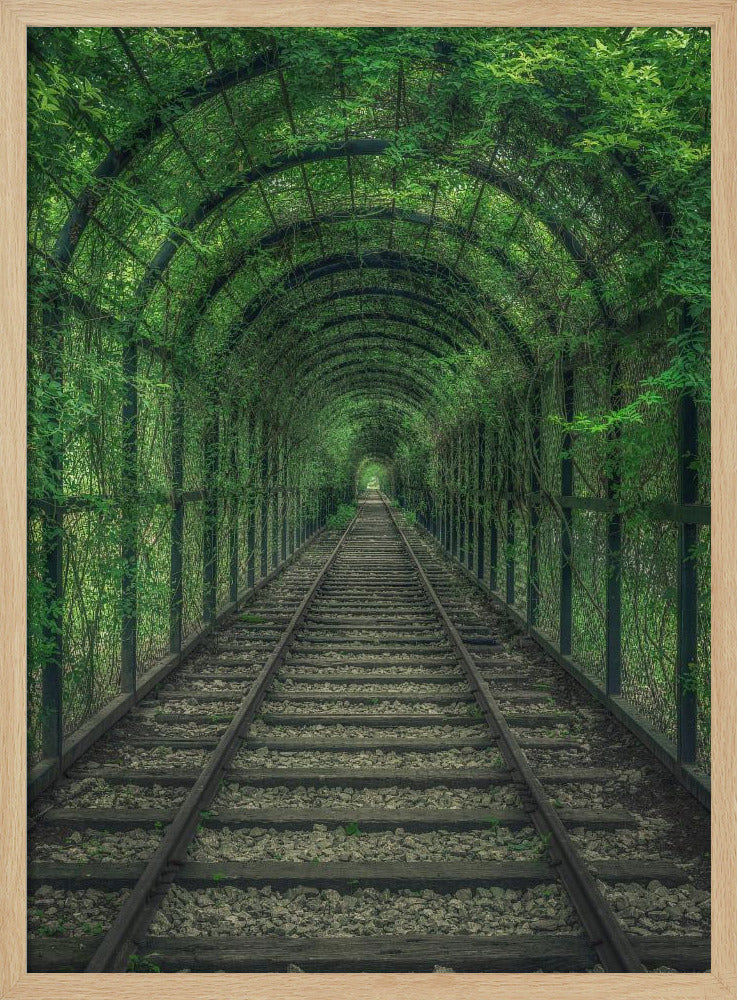 Grüner Tunnel | Poster