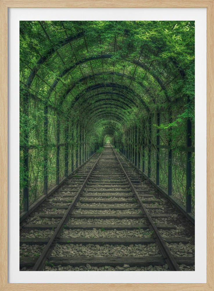 Grüner Tunnel | Poster