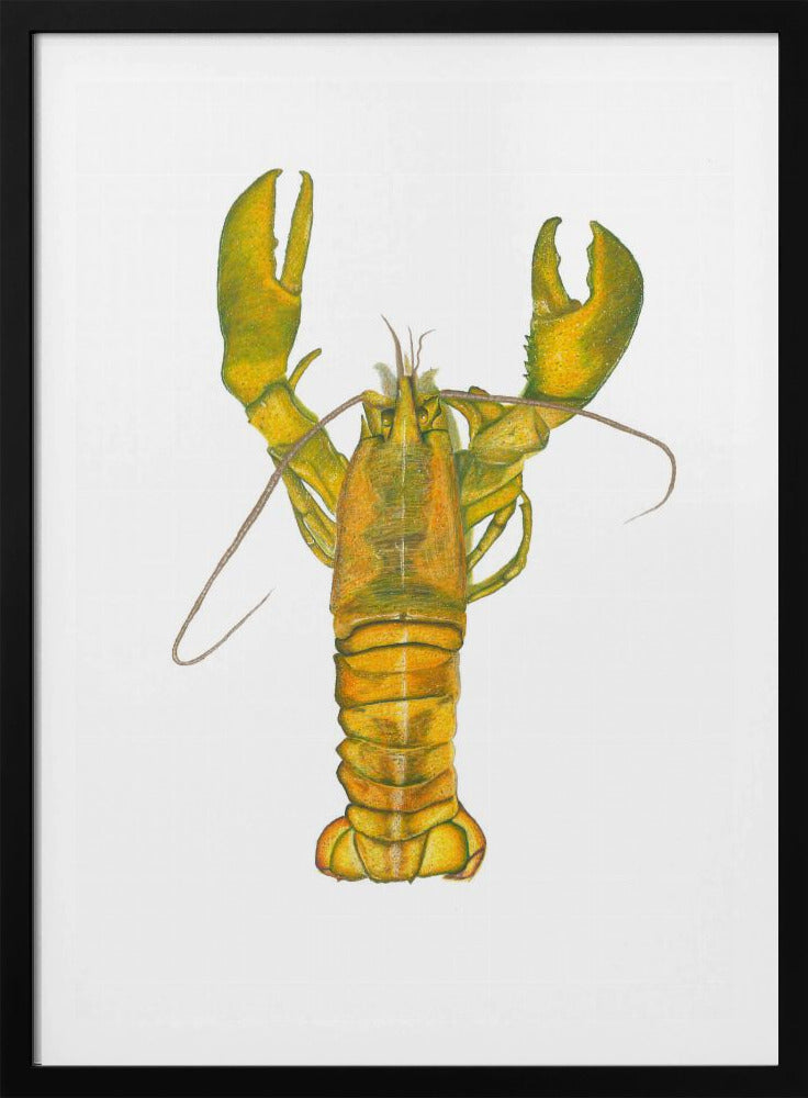 Hummer | Poster