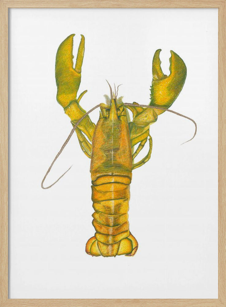 Hummer | Poster
