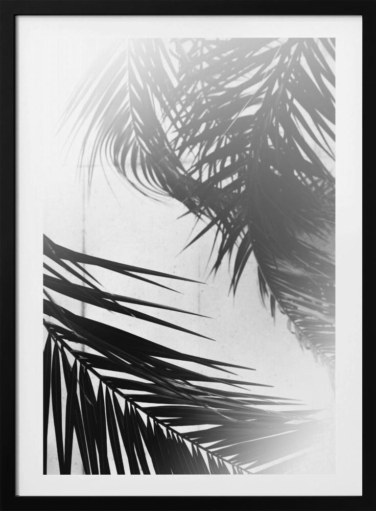 Palmen-Silhouetten | Poster