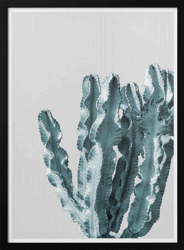 Cactus Elegance | Poster