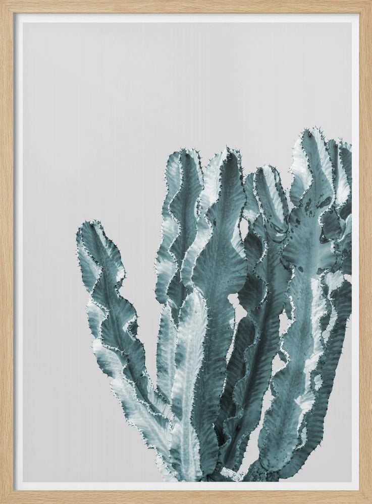 Cactus Elegance | Poster