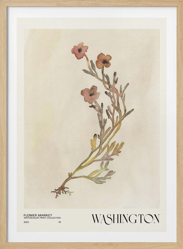 Aquarelldruck-Sammlung. Blumenmarkt – Washington | Poster