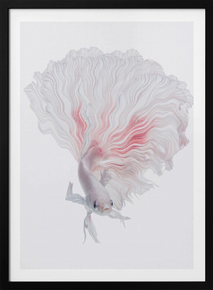 Wurzel-Betta | Poster