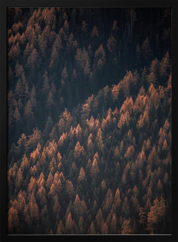 Herbstwald 2 | Poster