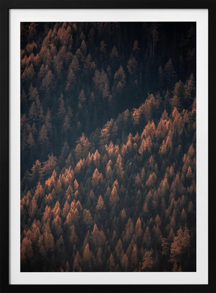 Herbstwald 2 | Poster
