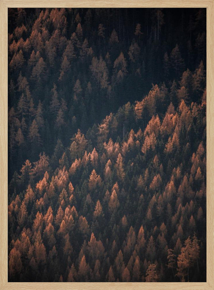 Herbstwald 2 | Poster