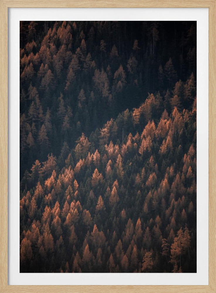 Herbstwald 2 | Poster