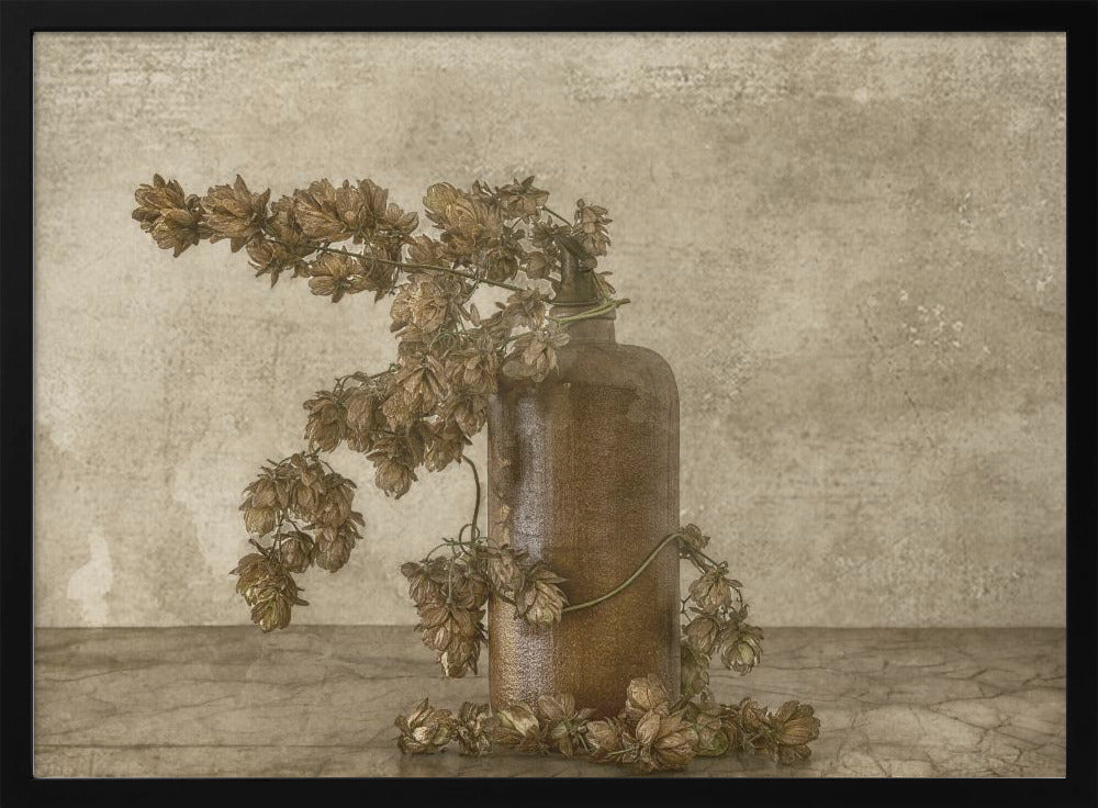 Gemeiner Hopfen 2 | Poster