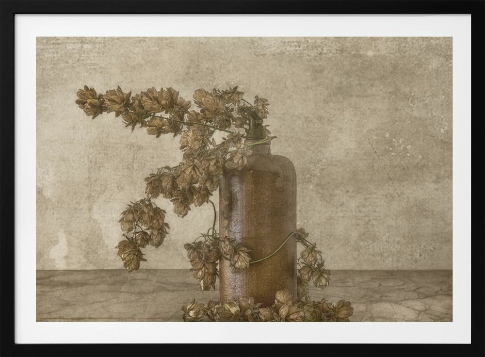 Gemeiner Hopfen 2 | Poster