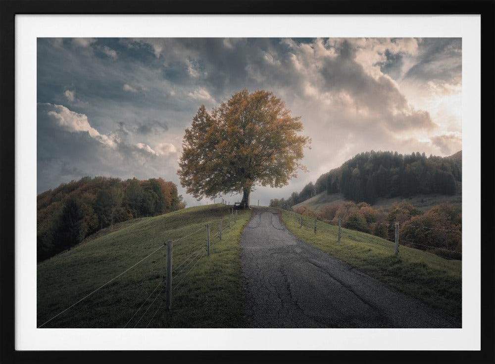 Immer wieder | Poster