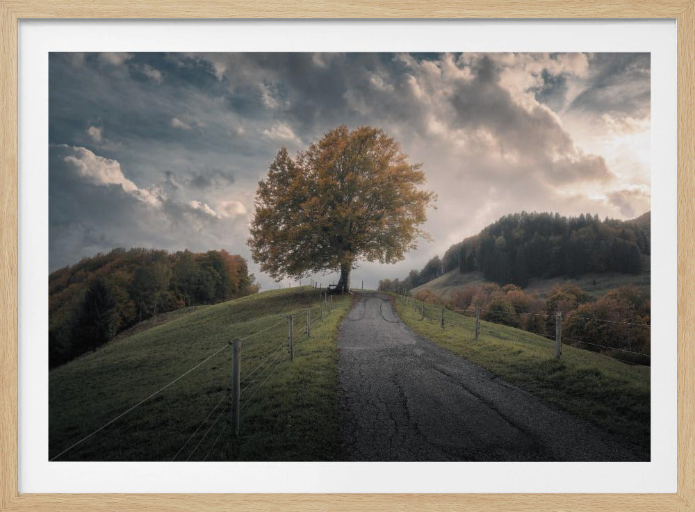 Immer wieder | Poster