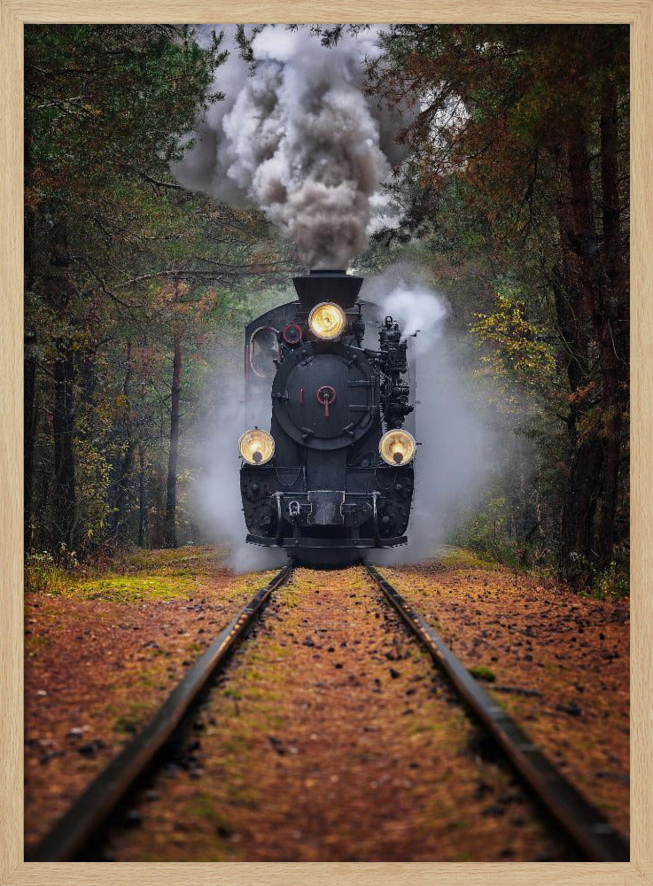 Durch den Herbstwald | Poster
