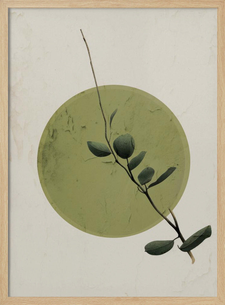 Grüner Gelassenheitskreis | Poster