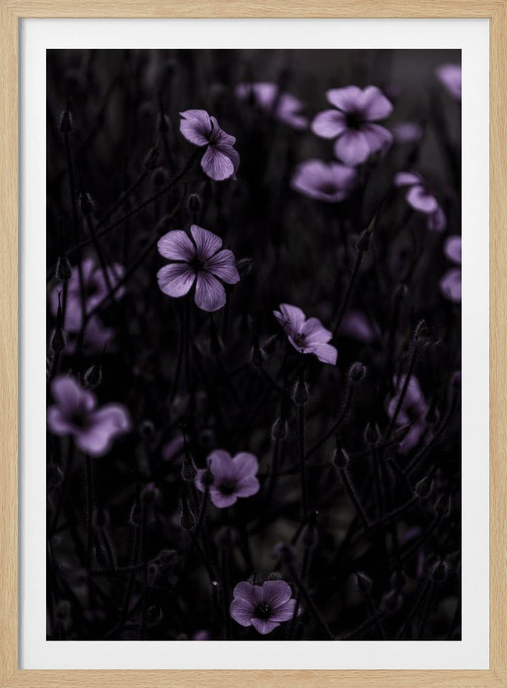Dunkle Blumen 10 | Poster