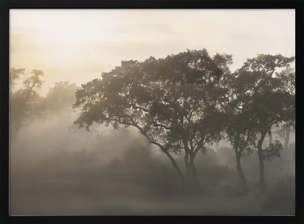 SAVANA SONNENAUFGANG | Poster