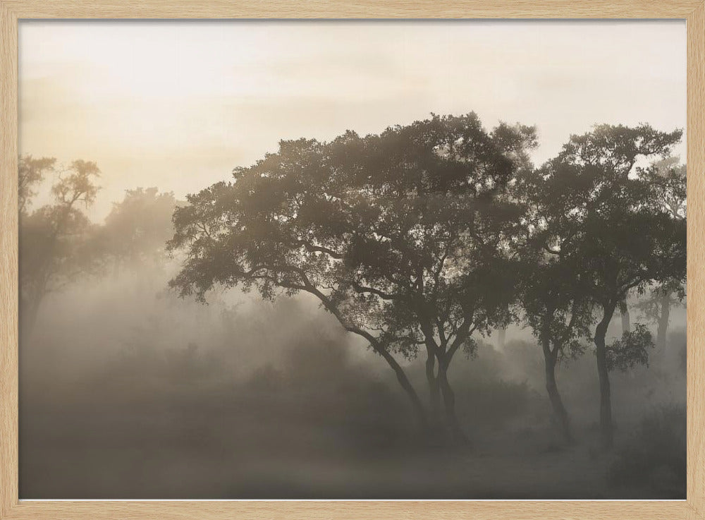 SAVANA SONNENAUFGANG | Poster