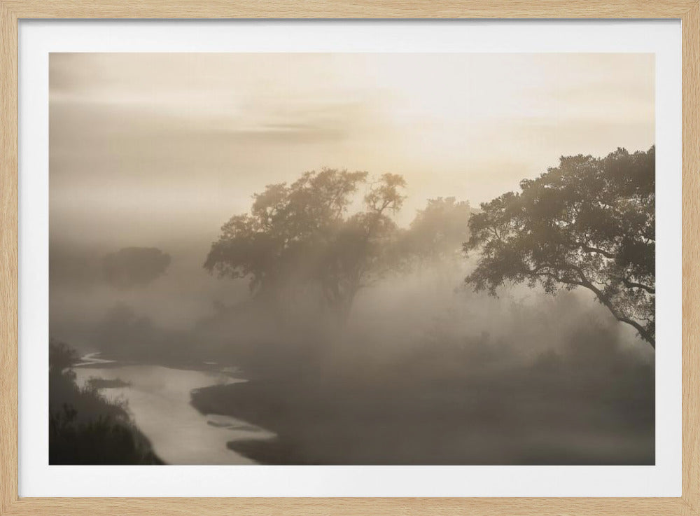 SAVANA SONNENAUFGANG | Poster