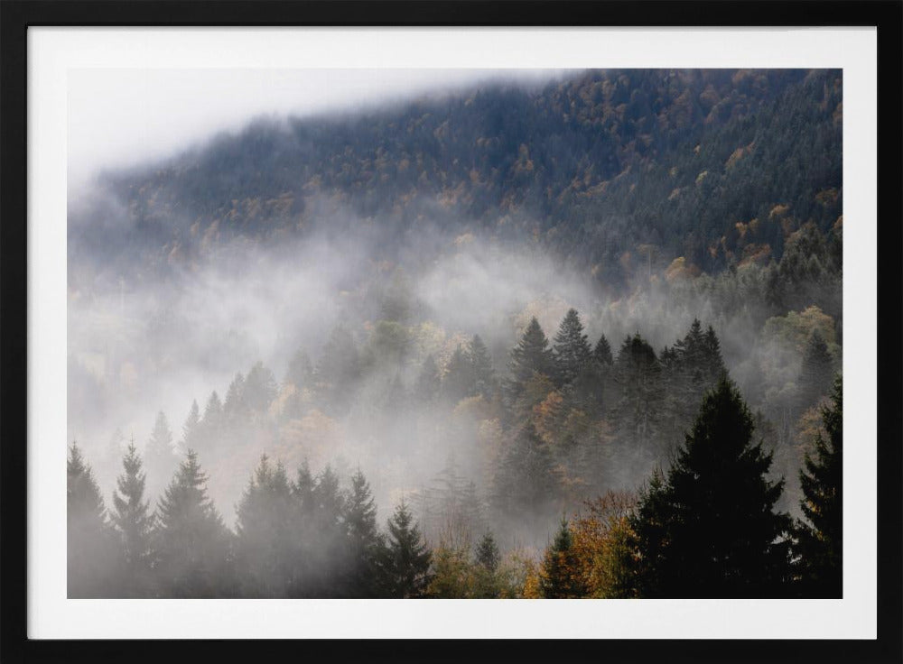 Nebliger Wald 9 | Poster