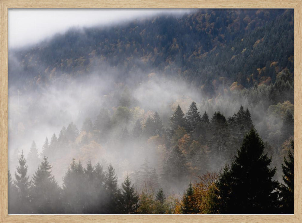 Nebliger Wald 9 | Poster
