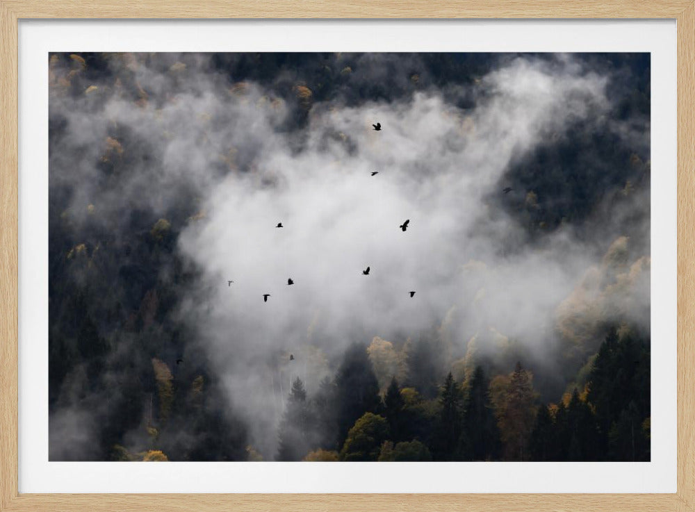 Nebliger Wald 8 | Poster