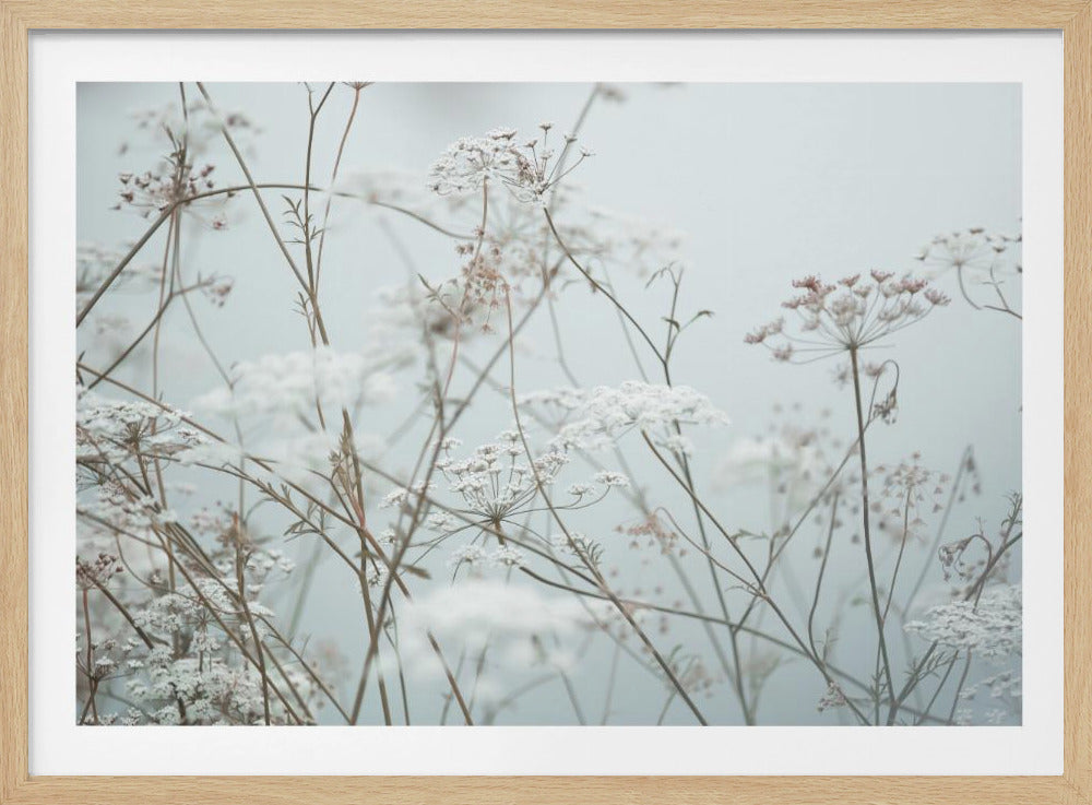 Sommermomente 12 | Poster
