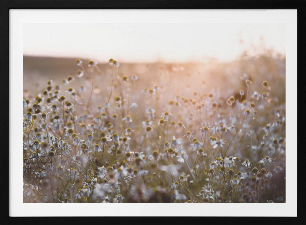 Sommermorgen 7 | Poster