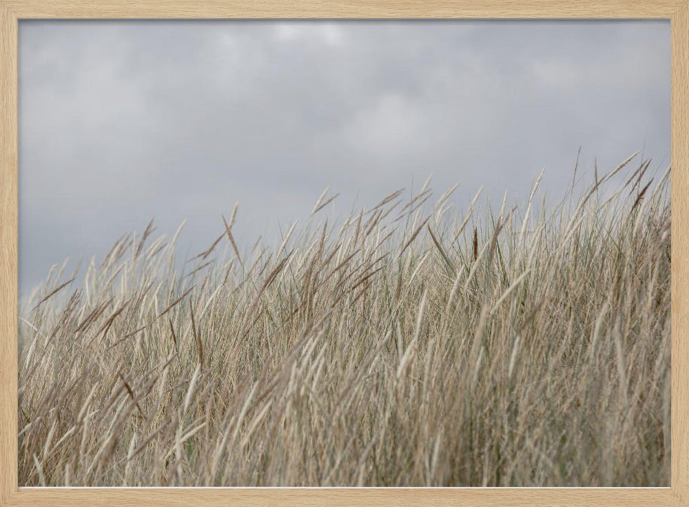 Dünen und Wolken | Poster