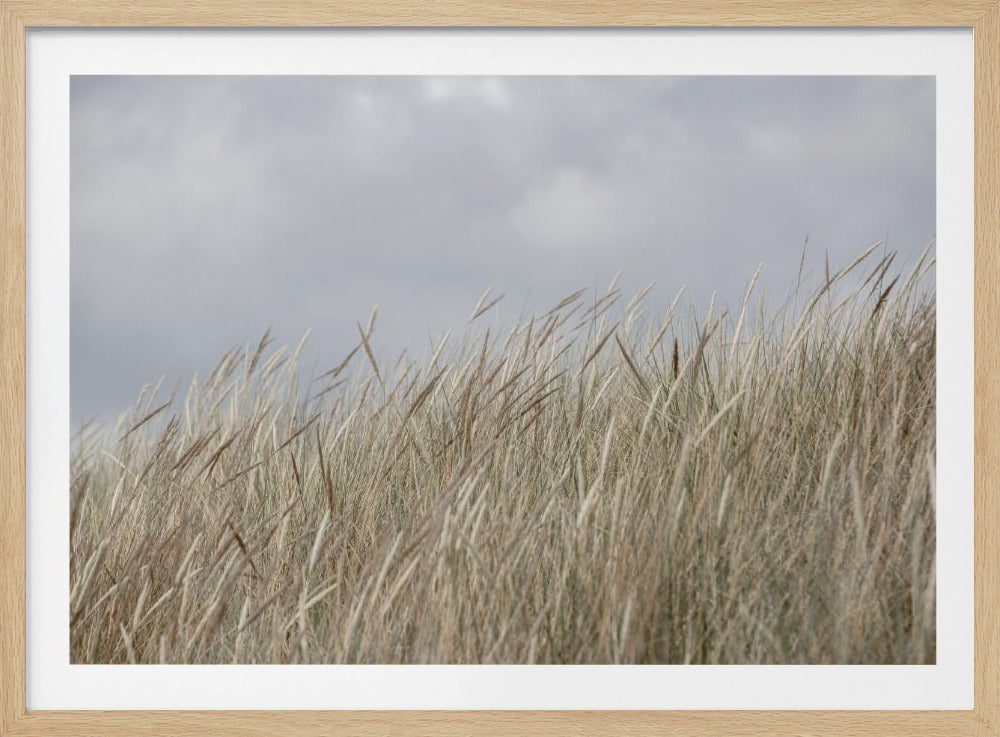 Dünen und Wolken | Poster