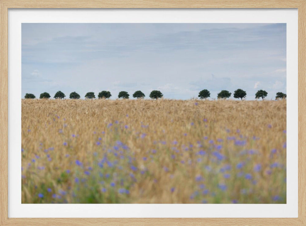 Nordische Momente 4 | Poster