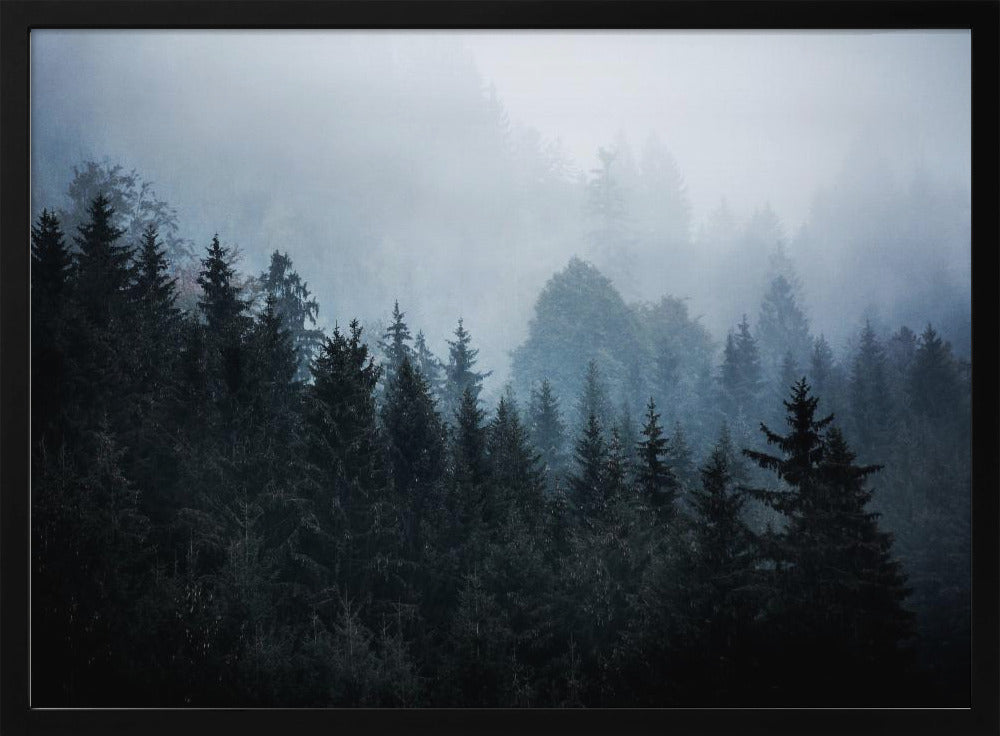 Nebliger Wald 5 | Poster