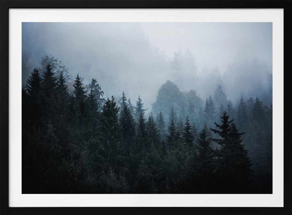 Nebliger Wald 5 | Poster