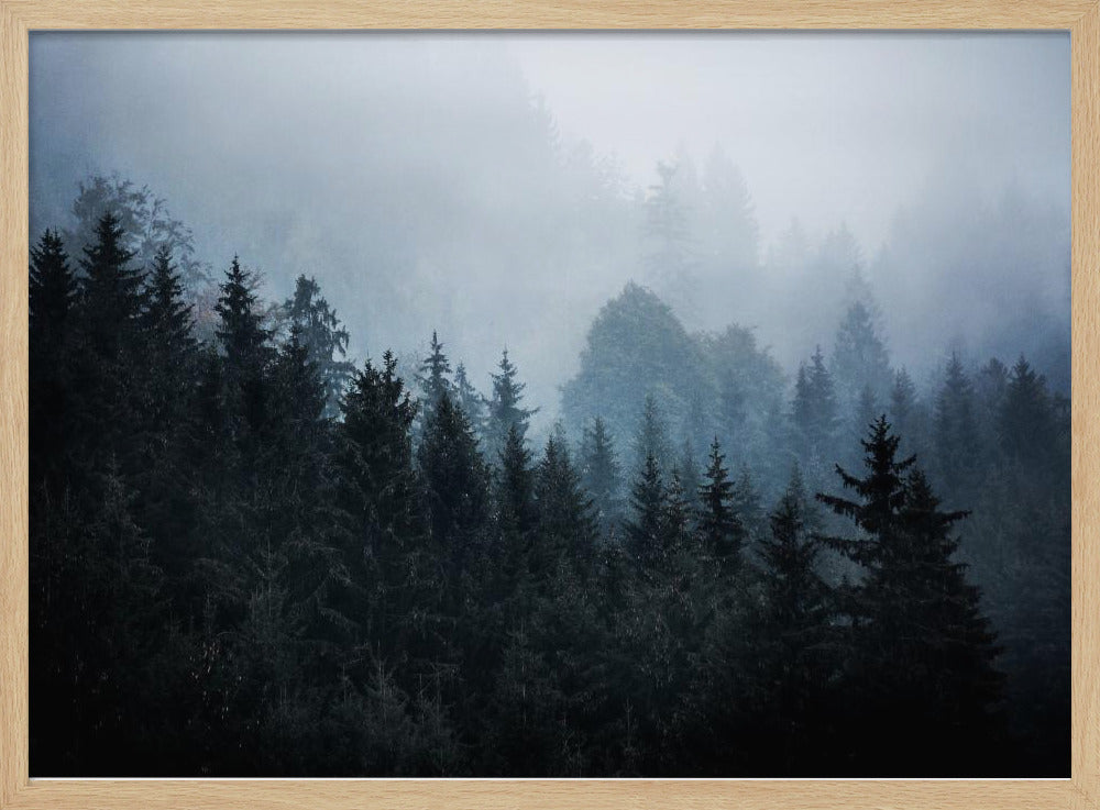 Nebliger Wald 5 | Poster